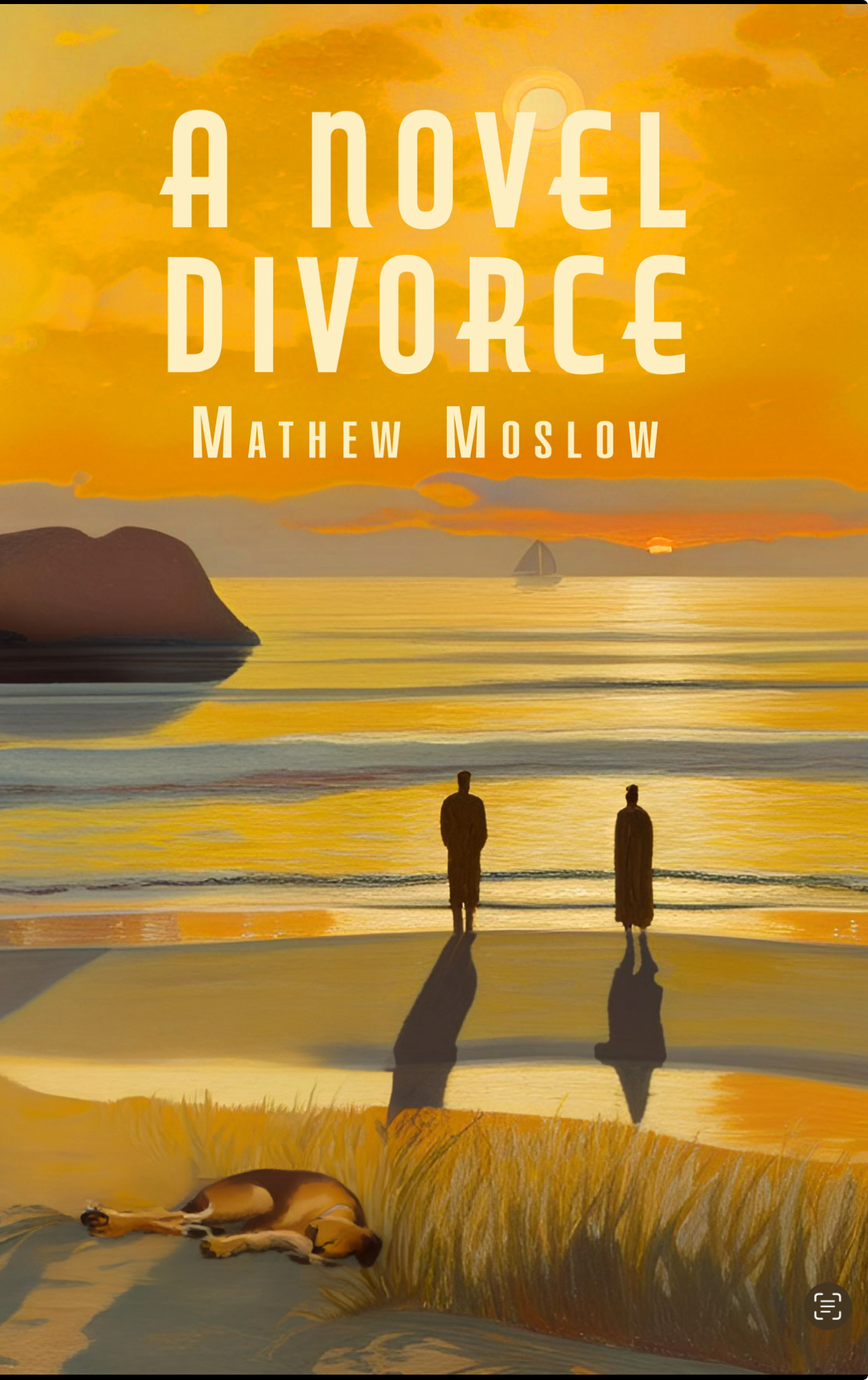 A Novel Divorce Cover