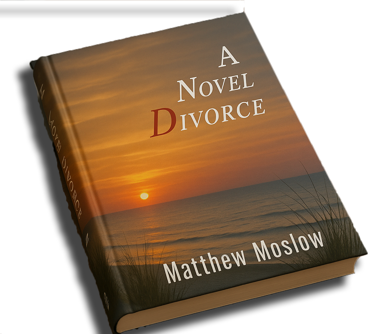 Book 3D